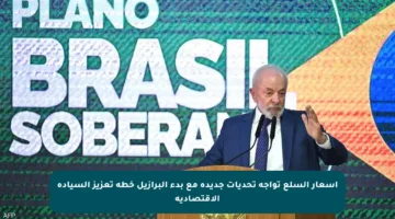 أسعار السلع تواجه تحديات جديدة مع بدء البرازيل خطة تعزيز السيادة الاقتصادية